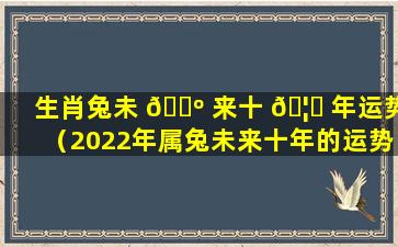 生肖兔未 🐺 来十 🦋 年运势（2022年属兔未来十年的运势）